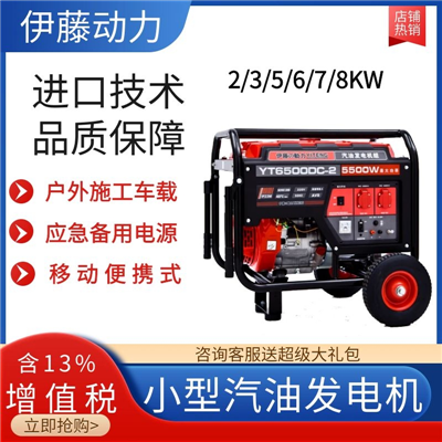 5KW手啟動(dòng)汽油發(fā)電機(jī)YT6500DC-2